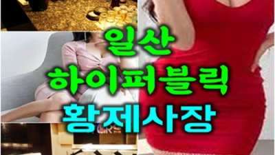 일산가라오케  잘해드릴 수 있습니다 케어맨 당신의 품격을 최대치로 높여드리겠습니다 퍼블릭업소시스템 일산퍼블릭룸