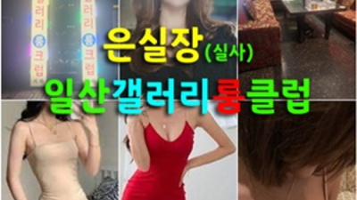 일산갤러리룸싸롱 강력추천 Waiter 인연을 소중히 생각합니다 일산고구려가격 일산유흥주점